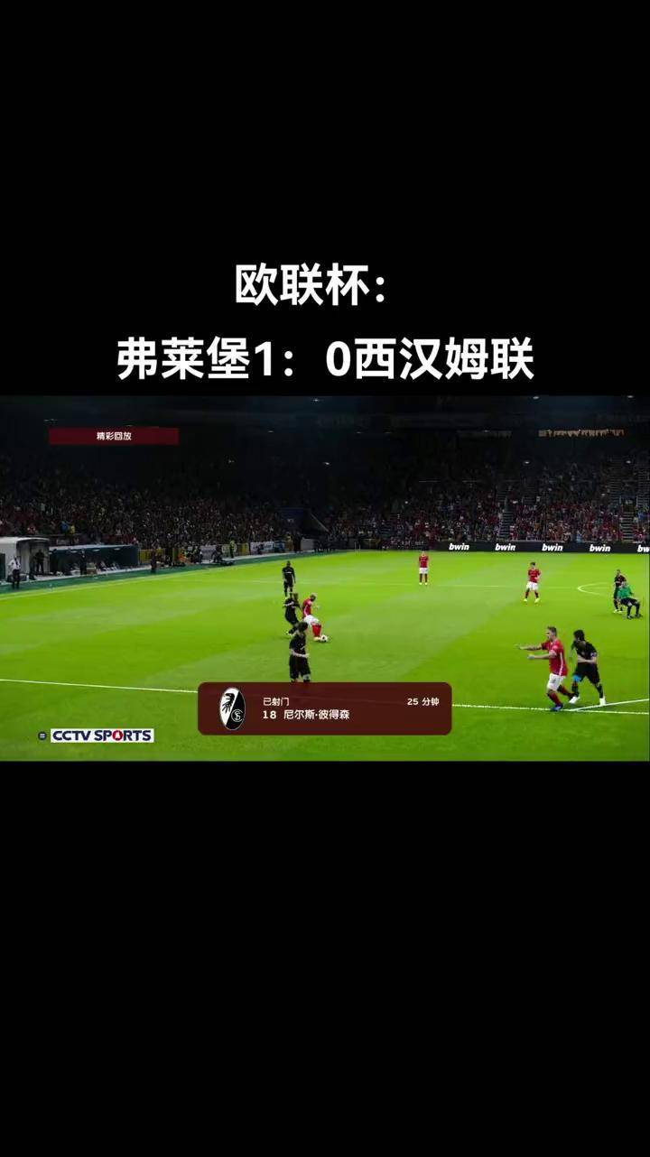 汉堡球迷欢呼雀跃！球队战绩连连加分：平博下载